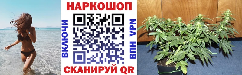 Купить наркотики цена Кондопога APVP Мефедрон Гашиш Канабис