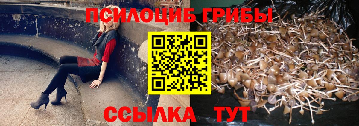 Кондопога  Псилоцибиновые грибы Psilocybine cubensis  Вход с VPN  Галлюциногенные грибы ЛСД 